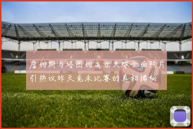 詹姆斯与塔图姆高尔夫球会面照片引热议昨天竟未比赛的真相揭秘