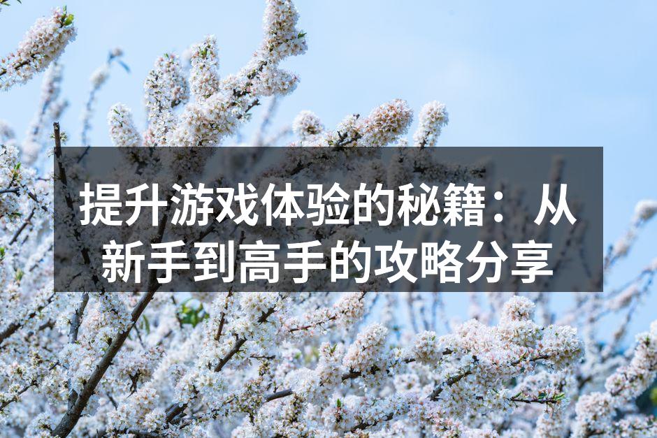 提升游戏体验的秘籍:从新手到高手的攻略分